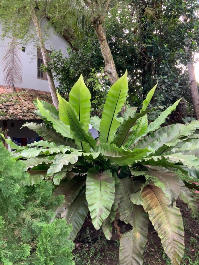Lali Villa & Fruit Garden Galle Exterior foto