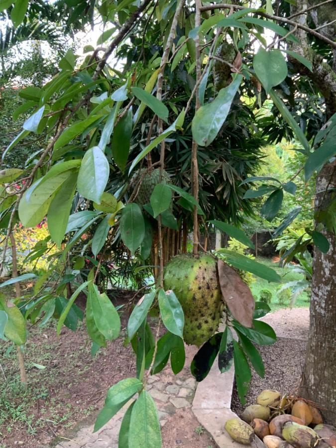 Lali Villa & Fruit Garden Galle Exterior foto